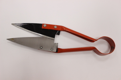 Ножницы для стрижки овец клепаные