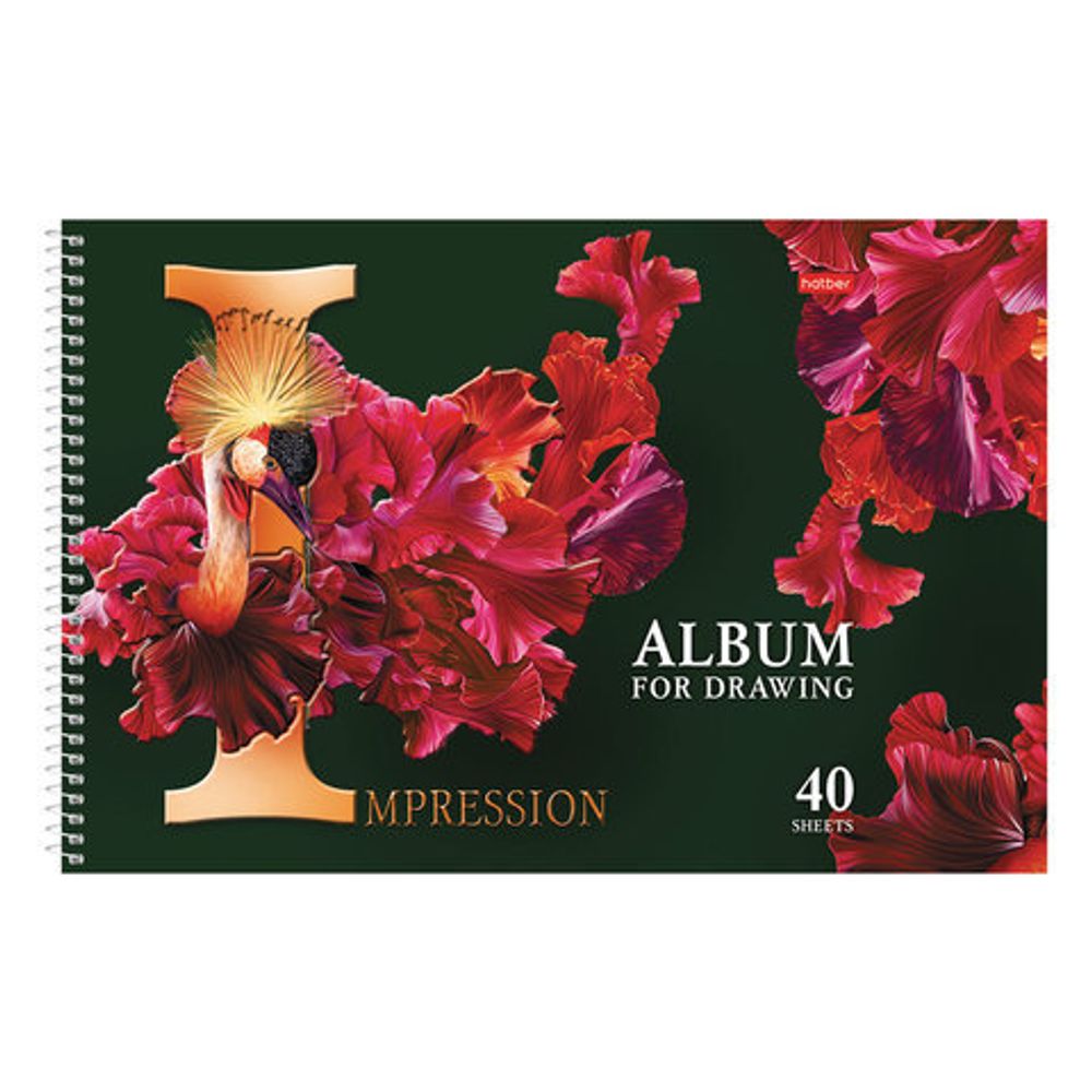 Альбом для рисования, А4, 40 листов, спираль, конгрев, фольга, HATBER, 205х300 мм, "Beautiful birds" (5), 40А4КфвлВсп