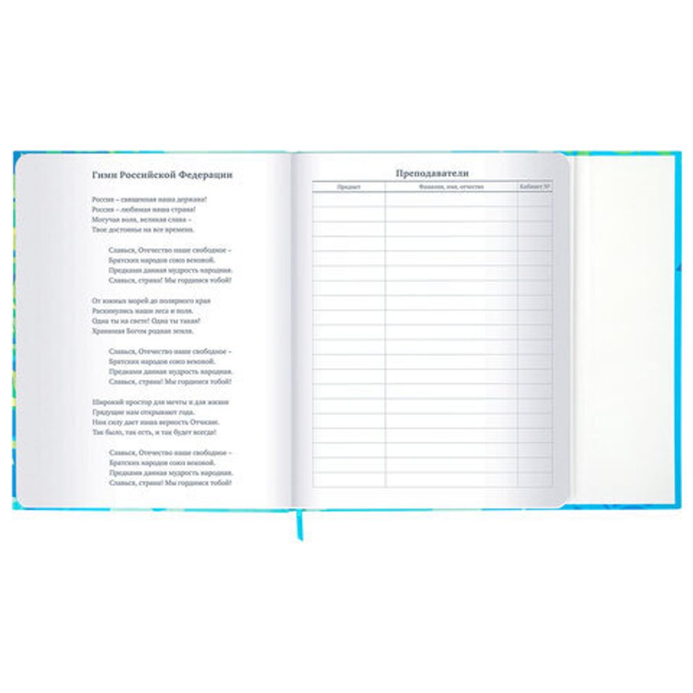 Дневник 1-11 класс 48 л., твердый, BRAUBERG, матовая ламинация, магнитный клапан, закладка-ляссе, с подсказом, "Котик", 107244