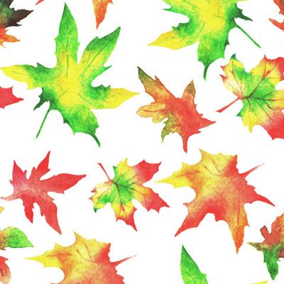 Кленовые акварельные листья