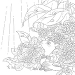In the forest of a Fairytale full of flowers. Coloring Book