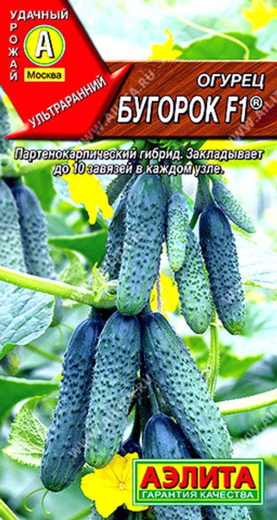 Огурец Бугорок F1 ®       10 сем