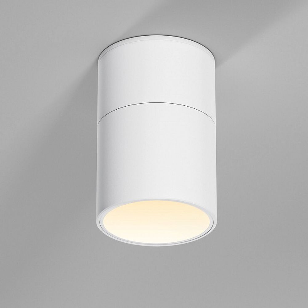 Накладной светильник Elektrostandard Rolly a067486