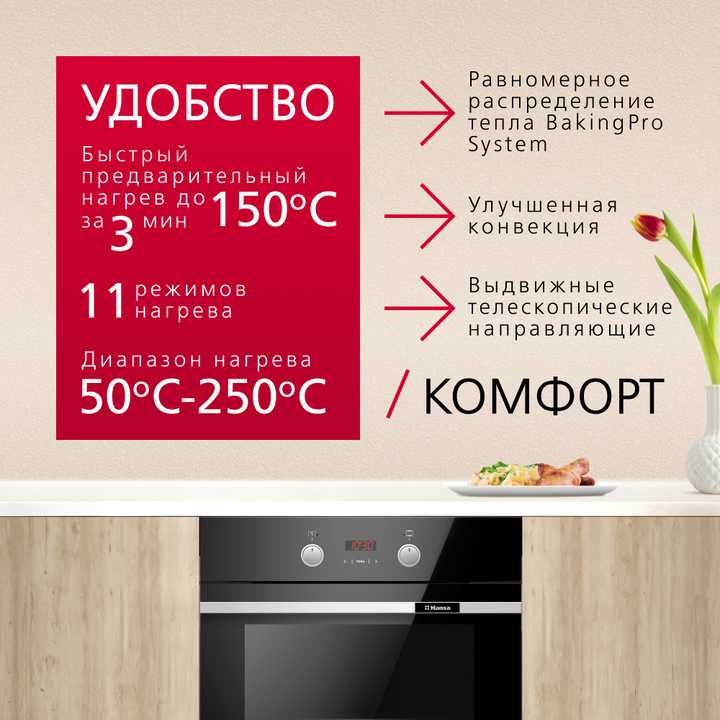 Духовой шкаф Hansa BakingPro BOES694003