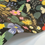 Rifle Paper Co. Second Edition