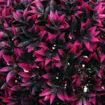 Искусственное растение шар «Самшит» цветная трава D-28см Ultramarine