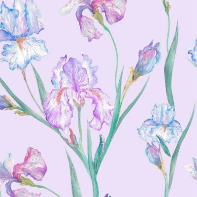 Ирисы на розовом