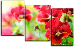 Модульная картина "Цветы анютины глазки "