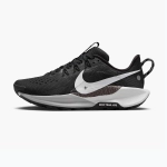 Женские Кроссовки для бега Nike Pegasus Trail 5 black/white/anthracite/wolf grey