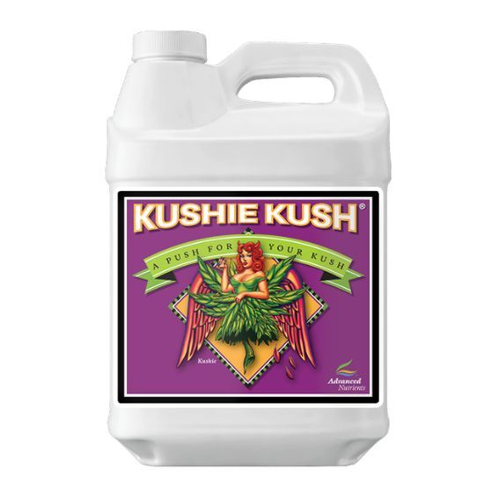 Kushie Kush