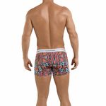 Мужские трусы боксеры разноцветные Clever Refined Boxer 239005