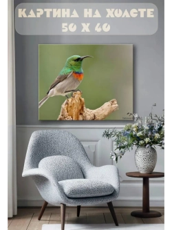 Картина на стену 40 X 50 Цветная птица