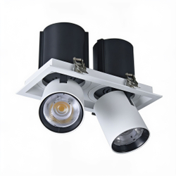 Светильник точечный встраиваемый Wertmark Technical Dorsum WTD.O31.067.30.20