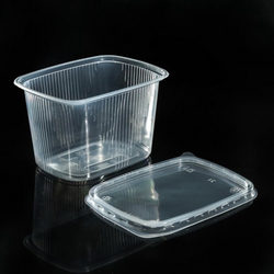 Контейнер с крышкой ПРЯМОУГОЛЬНЫЙ (100шт/20уп) ЮПЛАСТ