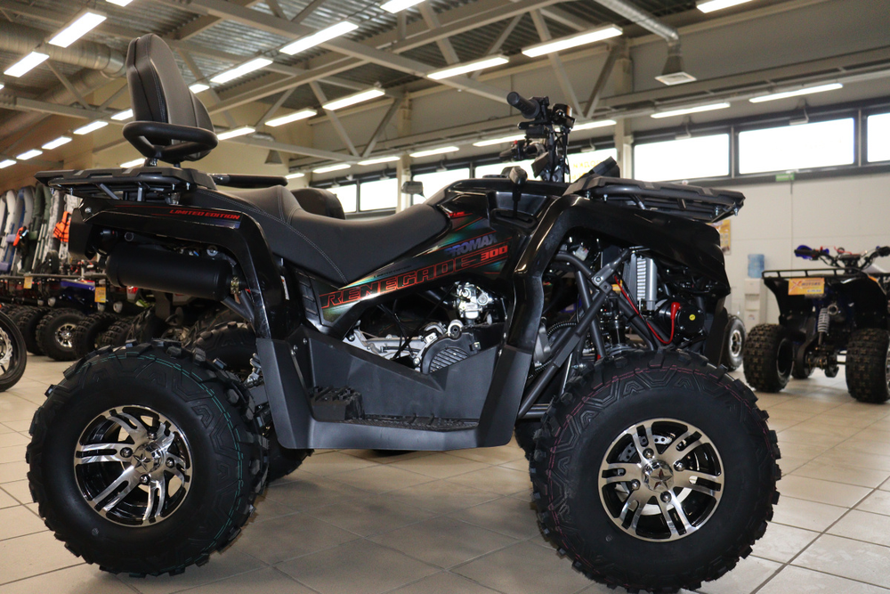 Квадроцикл PROMAX RENEGADE 300 LONG WINCH PRO (2025)