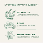 Traditional Medicinals, Organic Stress Ease® Immune, согревающая приправа с грибами рейши, без кофеина, 16 чайных пакетиков в упаковке, 28 г (0,99 унции)