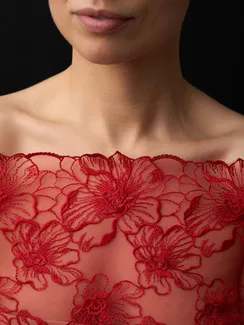 05-172 Вышивка на неэл. сетке 25 см, красный 100