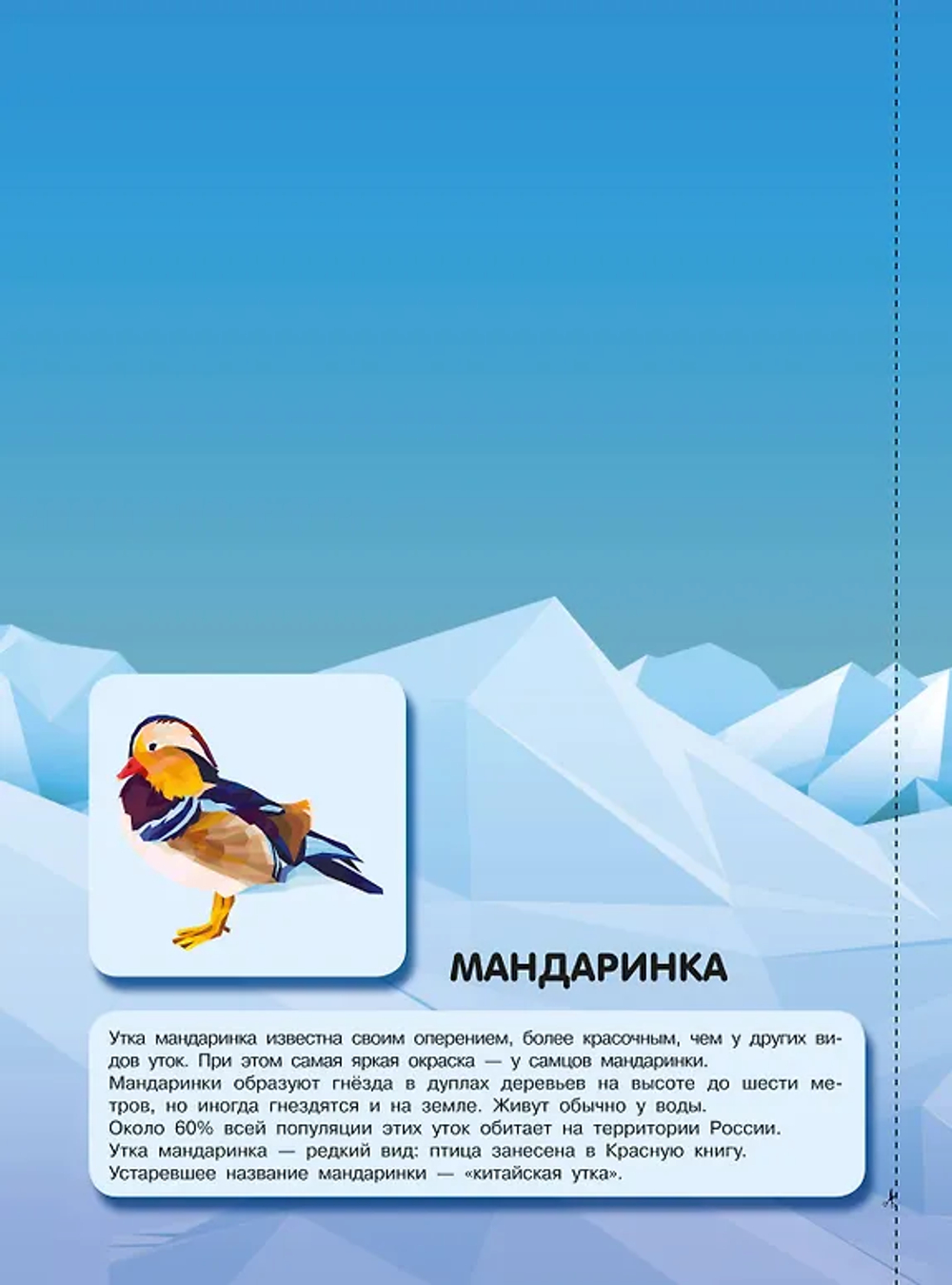 Птицы
