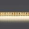 Светодиодная лента Lightstar 24W/m 240LED/m дневной белый 5M 421504