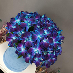 Букет из орхидей «Сокровище глубин‎» в синем бархате