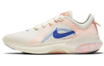 Кроссовки Nike Joyride Dual Run 2 (Женская размерная сетка)