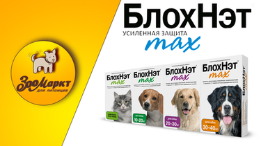 Акция БлохНэт max