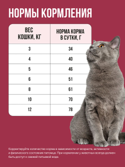 Сухой корм Bowl Wow для стерилизованных кошек, с индейкой, курицей и свеклой - 1,5 кг
