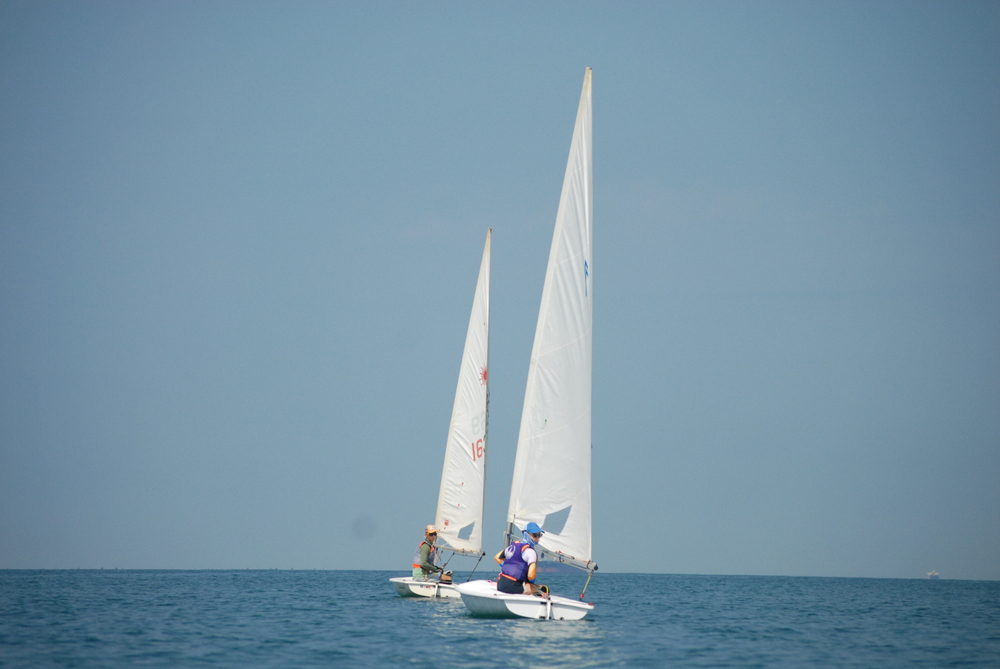 Обучающий курс для новичков 24 января - 01 февраля 2026