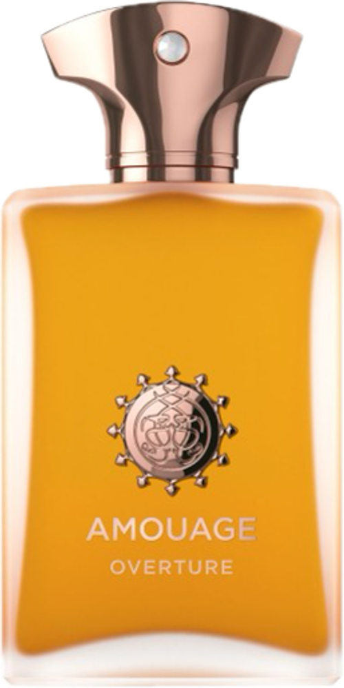 Amouage Overture Man EDP 100 ml