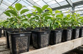 Что такое ЗКС