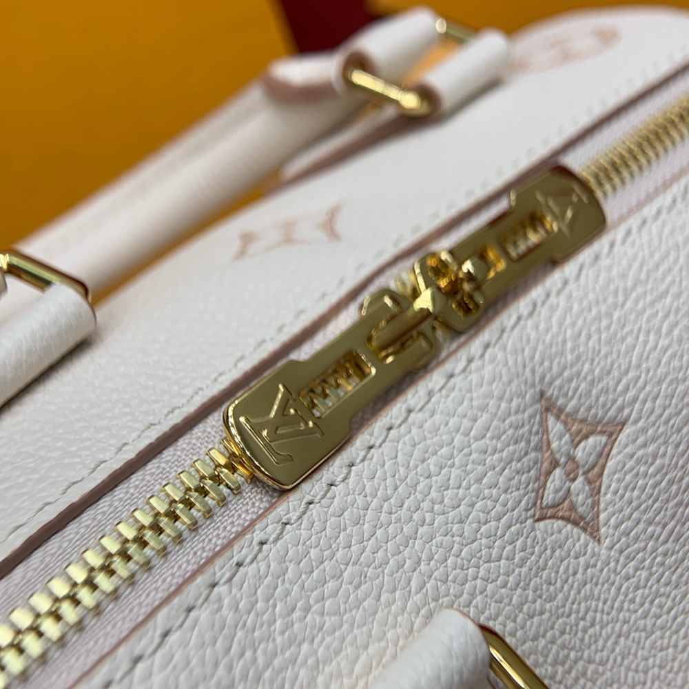 Louis Vuitton Speedy 20