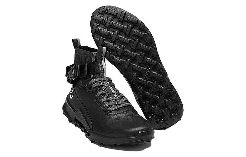 Ecco Biom2 1