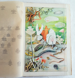 "В глубине вод". А.Шлейер. 1912г. - антикварное издание