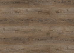 TW 03011 QUERCUS