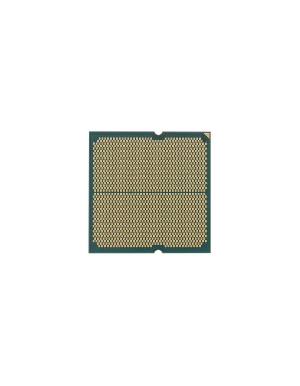 CPU AMD Ryzen 7 7700X OEM (100-000000591) {4,50GHz, Turbo 5,40GHz, RDNA 2 Graphics AM5}