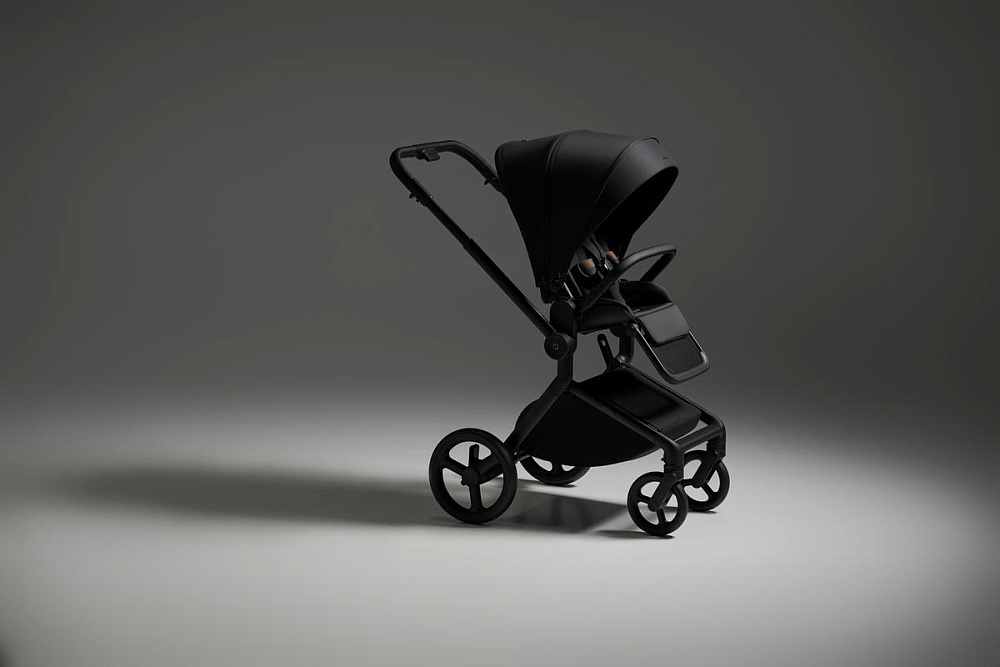 Детская коляска Anex Flo 2 в 1 Lungo