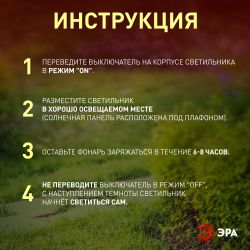 Светильник уличный ЭРА ERASF22-24 на солнечных батареях садовый Факел бамбук 56 см