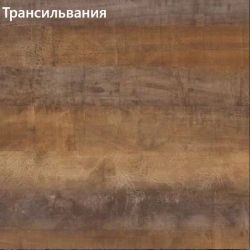 Кухонный гарнитур угловой Трансильвания 2600х1600 столешница 26 мм