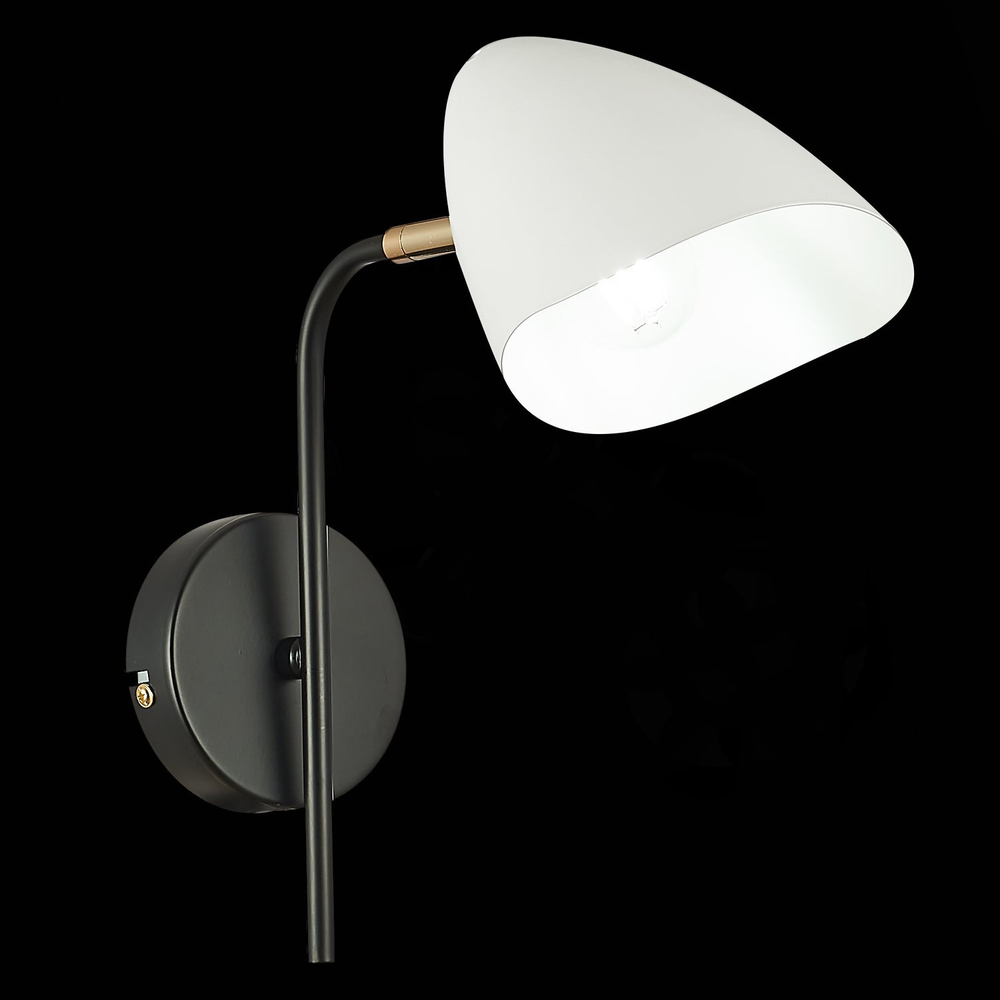 Светильник настенный Evoluce Satta SLE103601-01