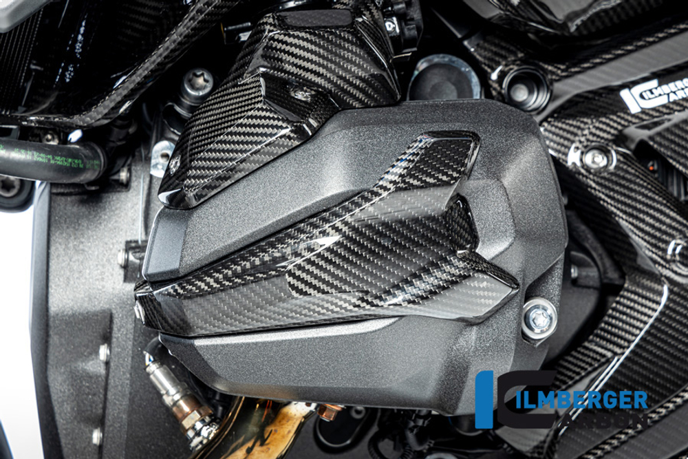 Ilmberger Carbonparts Накладка свечей зажигания левая сторона BMW R 1300RS / GS CG.ZAL.026.R23GS