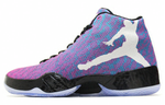 Кроссовки Jordan Air Jordan 29 Riverwalk