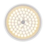 Потолочный светильник Freya FR10012CL-L24W