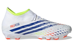 Кроссовки Adidas Predator Edge.3 Mg