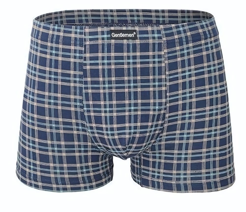 Клетчатые трусы-боксеры (Размер: M) (Цвет: синий)