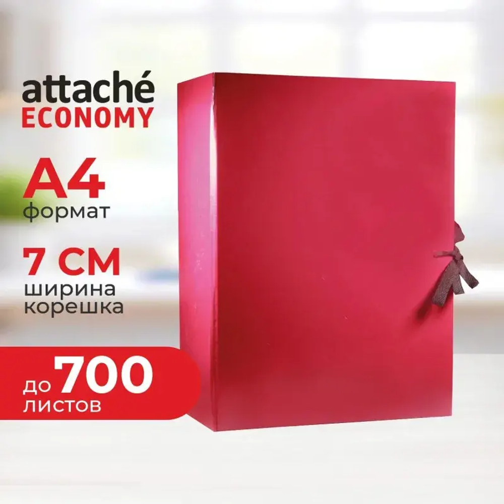 Архивные папки с завязками""