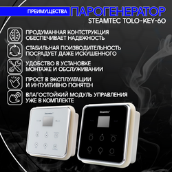 Steamtec TOLO KEY 60 - 6 кВт (ВЛАГОСТОЙКИЙ модуль управления), парогенератор для хамама и турецкой бани
