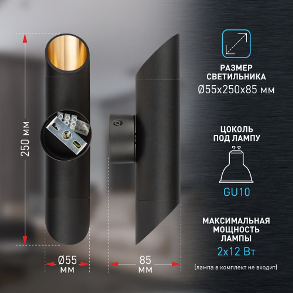 Светильник настенный ЭРА WL52 BK/GD 2*GU10 2*12Вт IP20 черный, золото