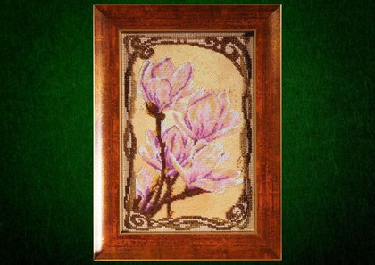 Трогательные магнолии