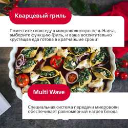 Встраиваемая микроволновая печь Hansa AMGB20E2GB