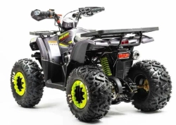 Квадроцикл Motoland 125 WILD (2020 г.)